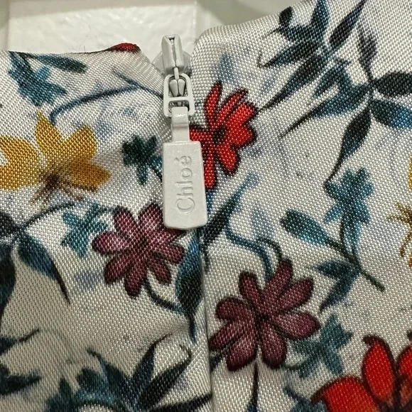 CHLOE Ruffle-trimmed Pleated Floral-print Georgette Mini Dress In Ivory …